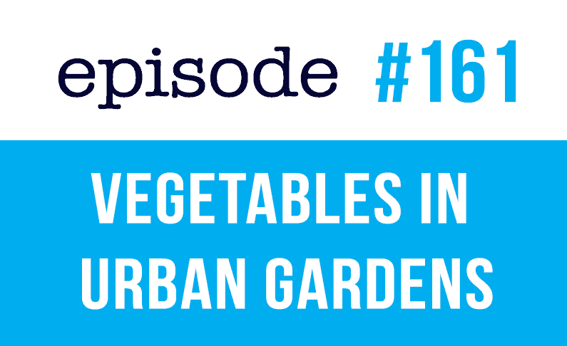 Hortalizas en los huertos urbanos