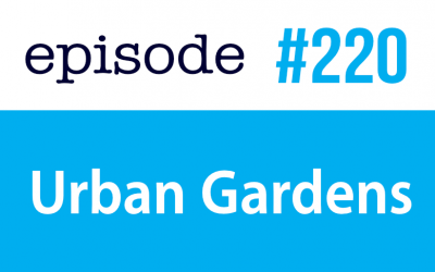 #220 Jardines urbanos en inglés