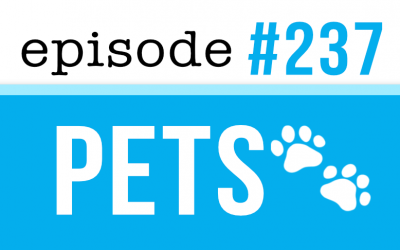 #237 Hablar de mascotas en inglés