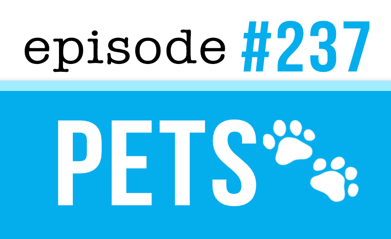 Hablar de mascotas en inglés