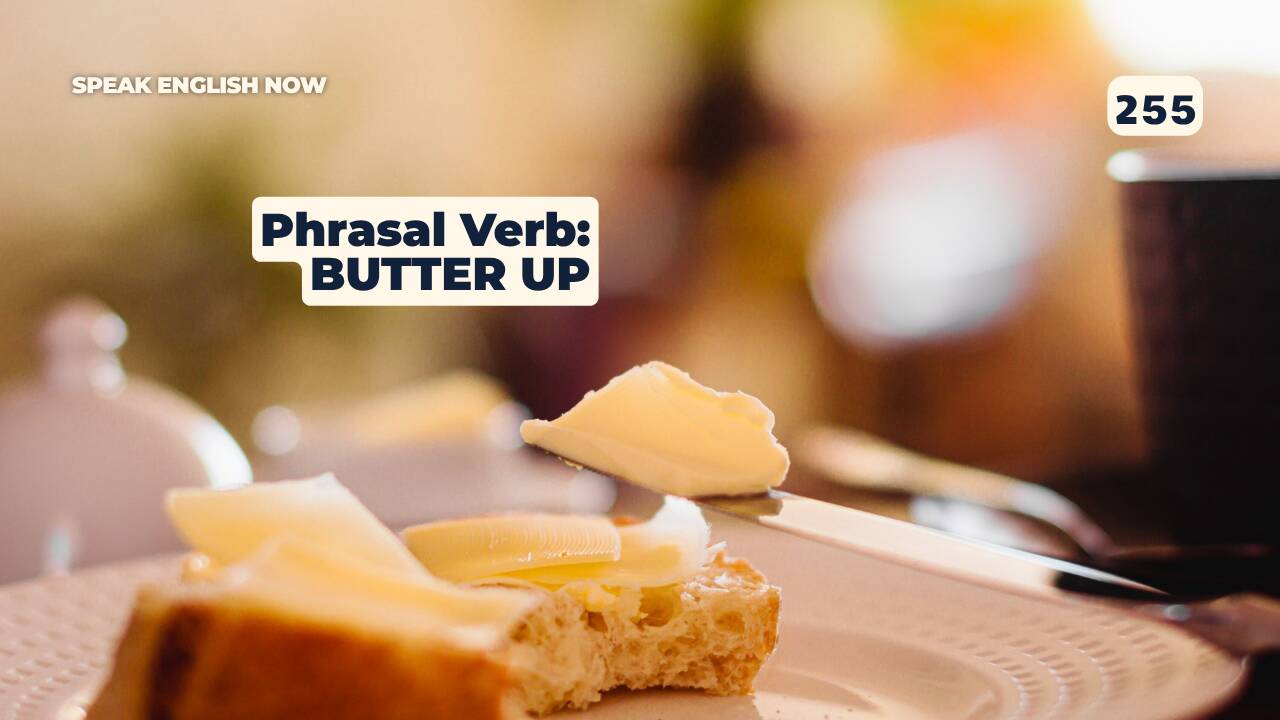 255 Phrasal verb: butter up