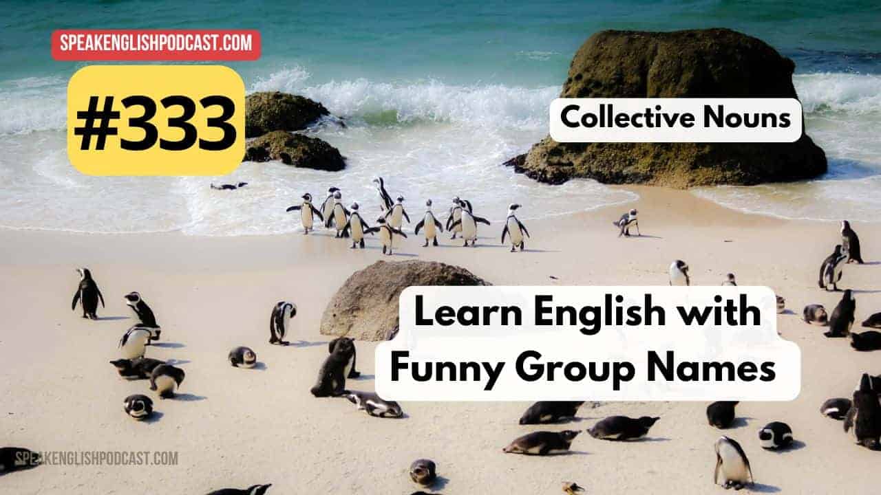 aprende inglés con nombres de grupo divertidos