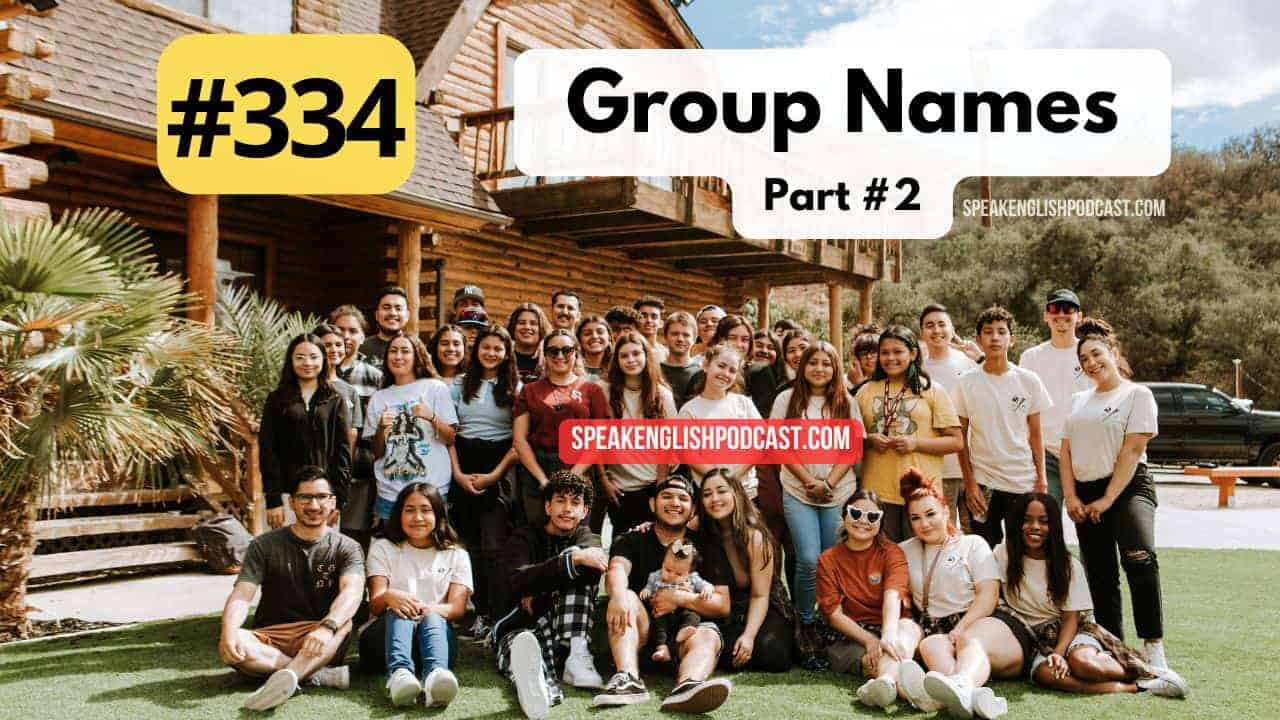 Sustantivos colectivos en inglés segunda parte