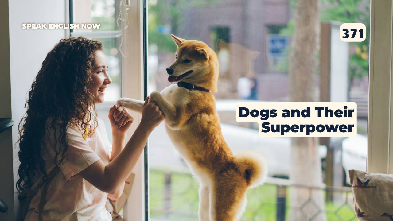 371 Los perros y su superpoder